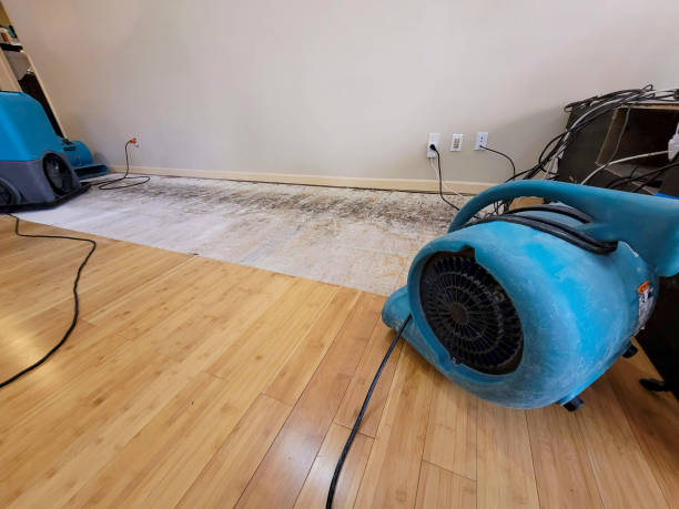 Professional Burst Pipe Water Damage technician working in Ladera Ranch, CA